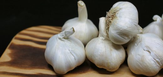 Fresh garlic bulbs placed on a wooden board with a black background, perfect for culinary themes.