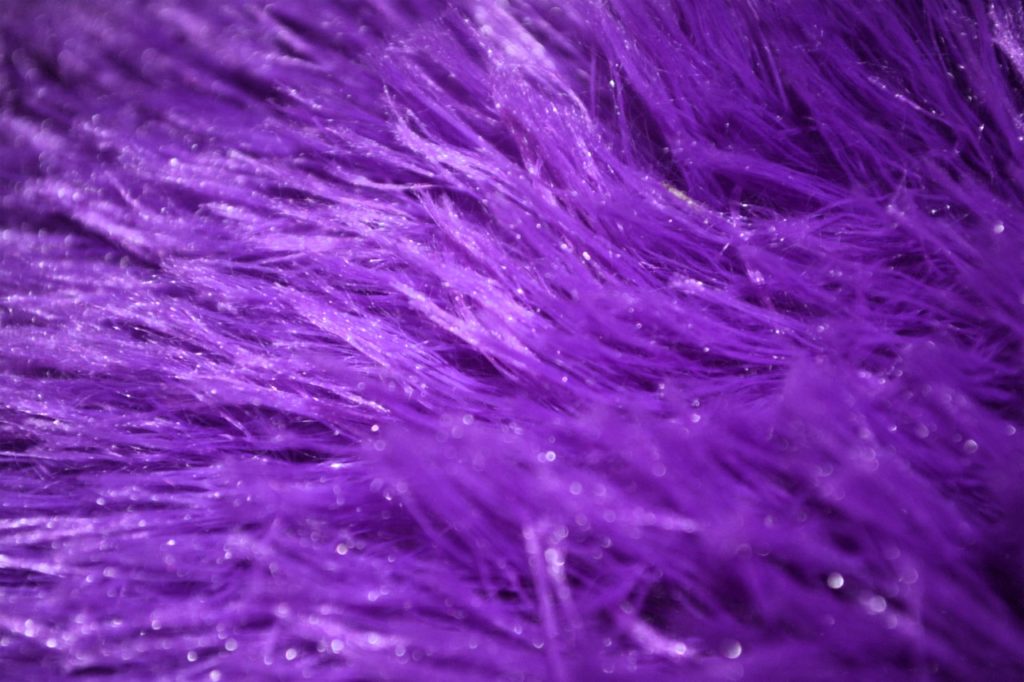 purple, fur, furry